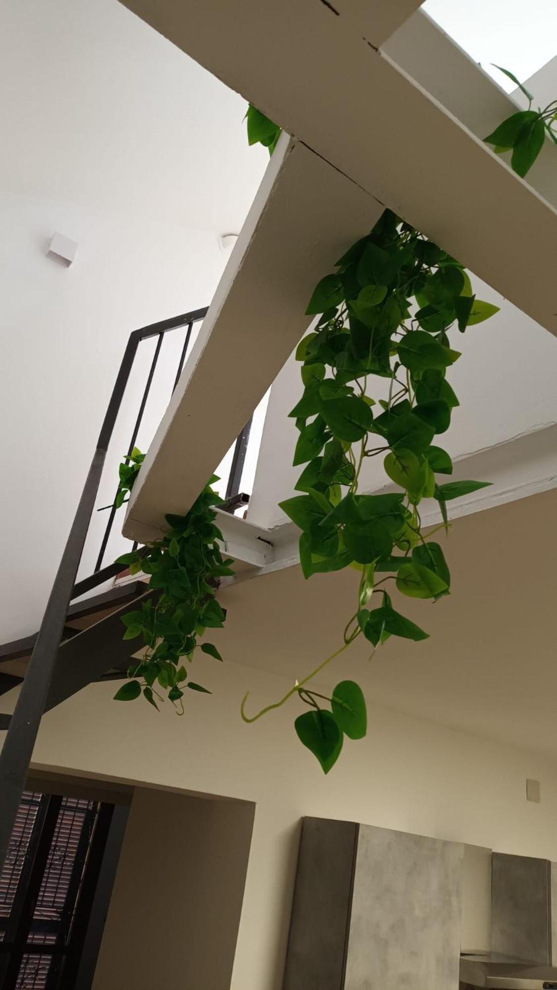 Casa N 1 Con Parcheggio Privato E Colonnina Ricarica Apartment Livorno Bagian luar foto